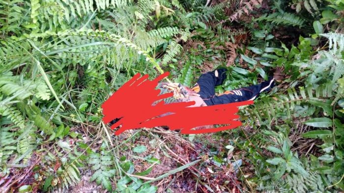 Bocah di Desa Sungai Batang Bengkalis Tewas Mengenaskan, Muka Robek Tangan Hampir Putus 