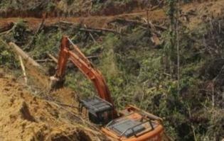 Ramai Aktivis Lingkungan Menentang Sikap Pemerintah yang Mengampuni "Perompak" Hutan 